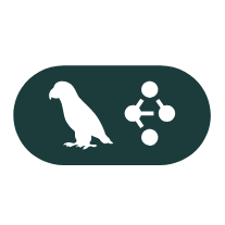LangGraph